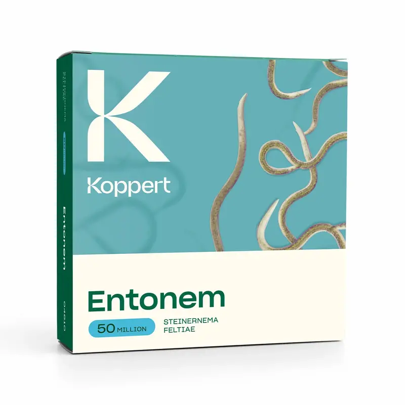 Entonem Beneficial Nematodes (50M Steinernema Feltiae) – Fungus Gnat & Thrips Biocontrol 1